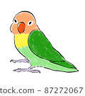 手繪綠色鈕扣長尾小鸚鵡面向這裡 87272067