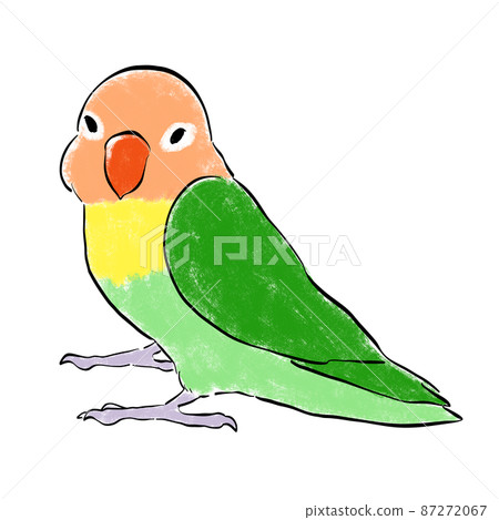手繪綠色鈕扣長尾小鸚鵡面向這裡 手繪綠色鈕扣長尾小鸚鵡面向這裡 87272067