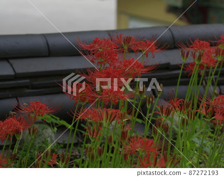Gilsangsa. Buddhist. Flowerpot. Temple. Flower Gilsangsa. Buddhist. Flowerpot. Temple. Flower 87272193
