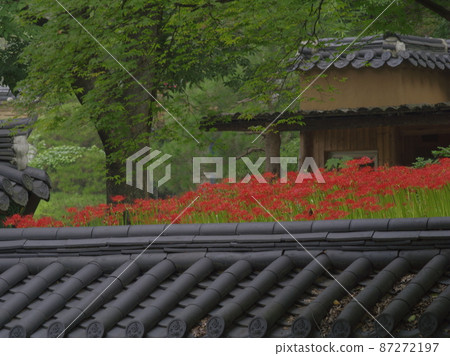 Gilsangsa. Buddhist. Flowerpot. Temple. Flower Gilsangsa. Buddhist. Flowerpot. Temple. Flower 87272197