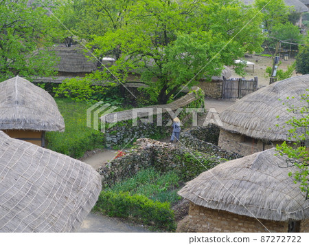 Nakan-eupseong Fortress. Thatched house. Traditional. Monk. Performance. Persimmon tree 87272722