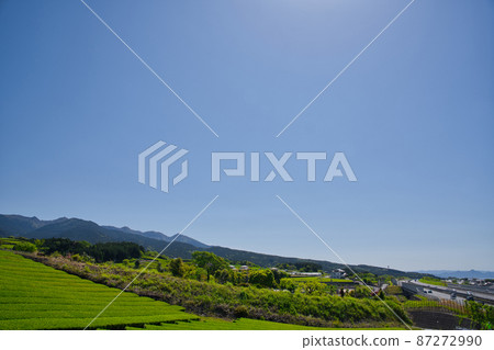[Shizuoka Prefecture] May ・ A tea plantation with a refreshing blue sky and the Shin Tomei Expressway 87272990