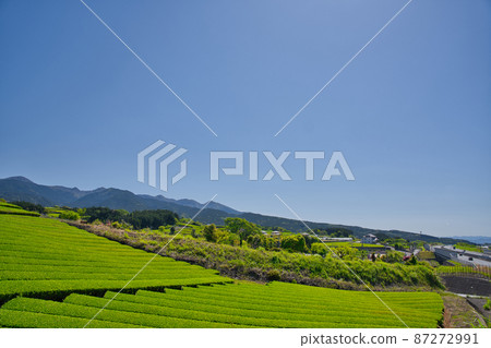 [Shizuoka Prefecture] May ・ A tea plantation with a refreshing blue sky and the Shin Tomei Expressway 87272991