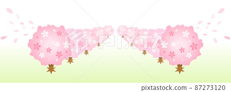 Rows of cherry blossom trees stretching far into the distance Entrance and graduation ceremonies 87273120