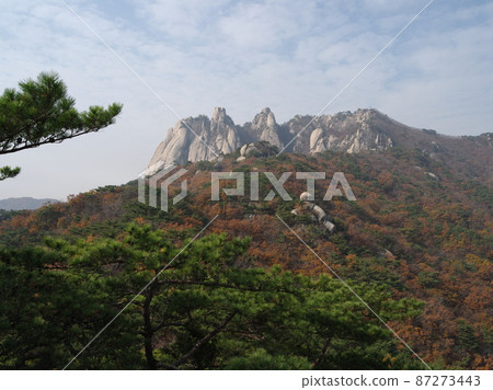 道峰山。秋天。五峰。楓葉。萬丈峰。 87273443