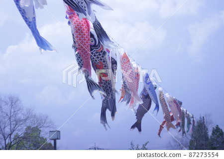 Koi swimming in blue sky Koi swimming in blue sky 87273554