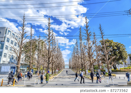 Cityscape of Yokohama City, Kanagawa Prefecture Hiyoshi Station Cityscape of Yokohama City, Kanagawa Prefecture Hiyoshi Station 87273562