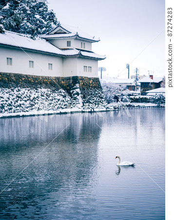 Swan swimming in the moat of Hikone Castle in the snow 87274283