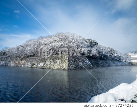 Winter scenery of the moat of Hikone Castle in fine weather 87274285