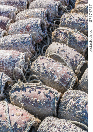 用於章魚釣魚的花瓶 87274737