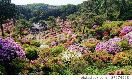 Shiofune Kannonji Temple 87274938