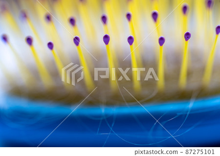 Selective focus on bristles of a hairbrush with tangled hair Selective focus on bristles of a hairbrush with tangled hair 87275101
