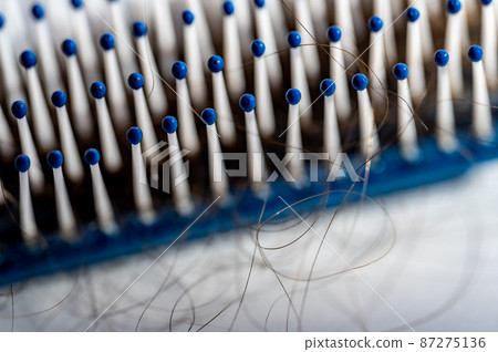 Selective focus on bristles of a hairbrush with tangled hair Selective focus on bristles of a hairbrush with tangled hair 87275136