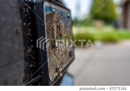 Selective focus on dead bugs splattered to the front grill and plates of a vehicle Selective focus on dead bugs splattered to the front grill and plates of a vehicle 87275162