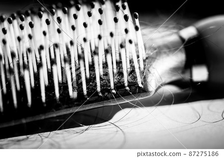 Selective focus on bristles of a hairbrush with tangled hair Selective focus on bristles of a hairbrush with tangled hair 87275186
