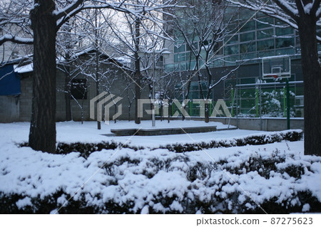 Snow Snow 87275623