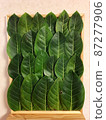 橡膠葉 87277906