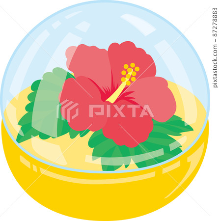 August Gachapon_Hibiscus Flower August Gachapon_Hibiscus Flower 87278883