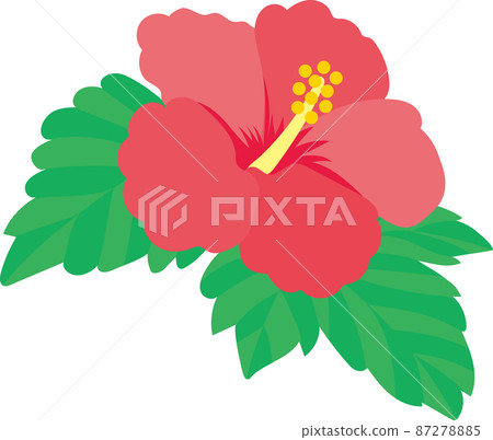 Hibiscus flower Hibiscus flower 87278885