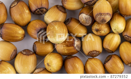 ripe hazelnut on a white background macro photography, texture backgrounds, ripe hazelnut on a white background macro photography, texture backgrounds, 87279352