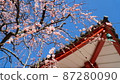 梅花與廟宇 87280090