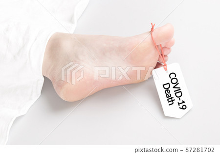Body with toe tag on white 87281702