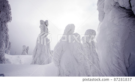 Rime on trees in the midwinter season Moriyoshiyama Rime on trees Akita Prefecture 87281837