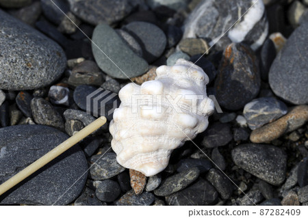 漂浮靈芝 漂浮靈芝 87282409