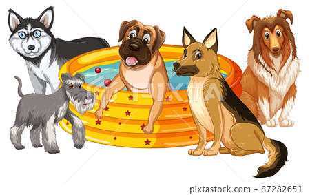 Cute puppy dogs in rubber swimming pool Cute puppy dogs in rubber swimming pool 87282651