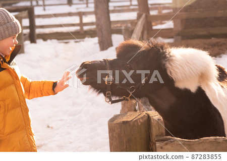 The child holds out his hand to the pony. The relationship between pet and child. Child in winter clothes, snow. Warm sun rays. Love and understanding. Good emotions 87283855