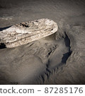 Driftwood struck on the beach and has sharp edges 87285176