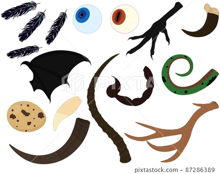 Alchemy witchcraft animal ingredients collection vector illustration 87286389