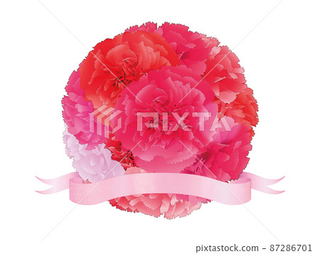 Mother's Day carnation background material 87286701
