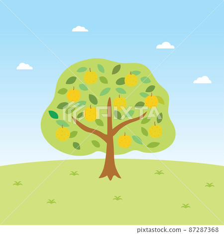 梨樹景觀圖 87287368