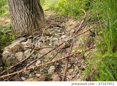 Difficult rocky and thorny path Difficult rocky and thorny path 87287952