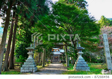 Seiryu Shrine (north of Tokugenin): Maibara City, Shiga Prefecture Seiryu Shrine (north of Tokugenin): Maibara City, Shiga Prefecture 87288456