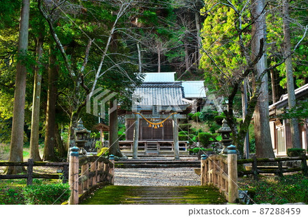 青龍神社(德玄院以北):滋賀縣米原市 青龍神社(德玄院以北):滋賀縣米原市 87288459