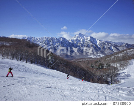 Shinshu Togakushi Ski Resort 87288900