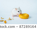 Small white hamster, on a white background. 87289164