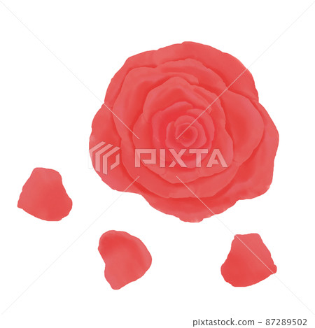 紅玫瑰花朵和花瓣 87289502