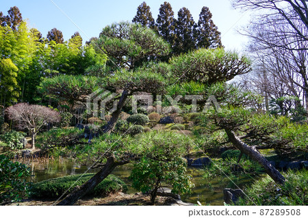 日本庭園內的西翔亭航空紀念公園（埼玉縣所澤市） 87289508