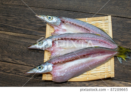 3 開放的sphyraenidae 87289665