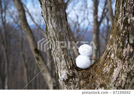 樹幹上的雪人 樹幹上的雪人 87289892