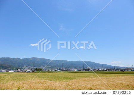 June (early summer) Mt. Hachibuse in the distance, Matsumoto City, Nagano Prefecture June (early summer) Mt. Hachibuse in the distance, Matsumoto City, Nagano Prefecture 87290296