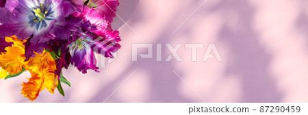Bunch of Parrot Style Tulips 87290459