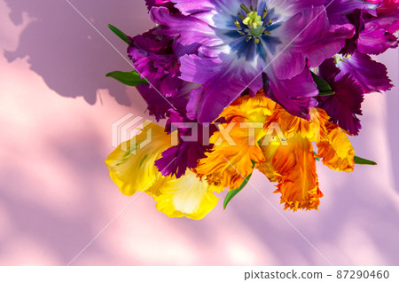 Bunch of Parrot Style Tulips 87290460