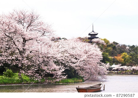 Spring Sanxi Garden 87290587
