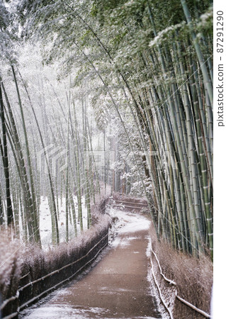 雪嵐山竹林小徑 雪嵐山竹林小徑 87291290