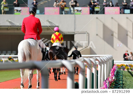 Hanshin Racecourse paddock and racehorse 87291299