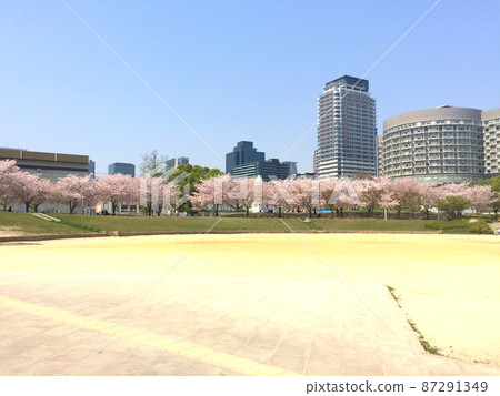 大阪北區荻町公園一排櫻花樹上看櫻花的人 大阪北區荻町公園一排櫻花樹上看櫻花的人 87291349
